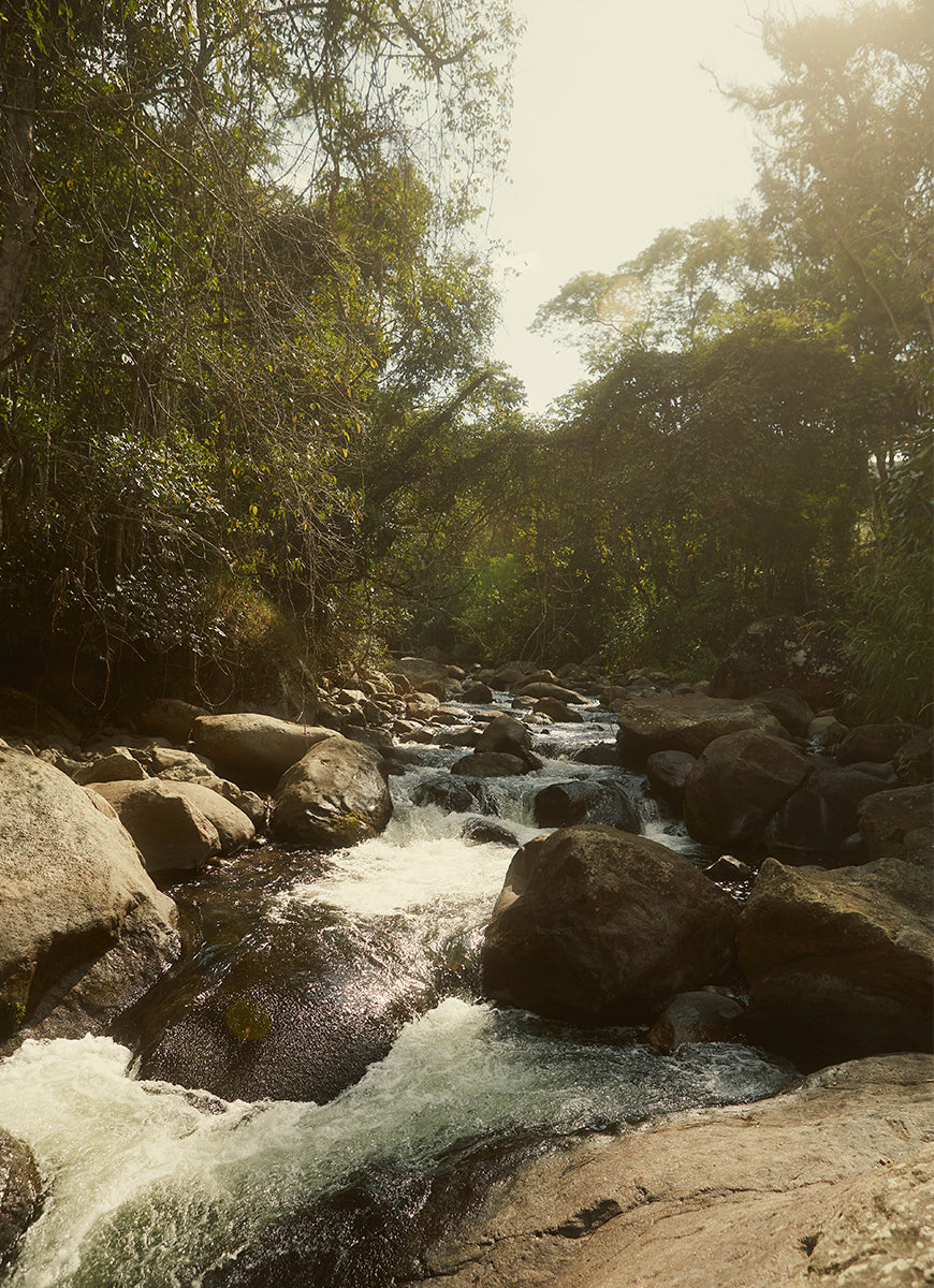 agua.jpg