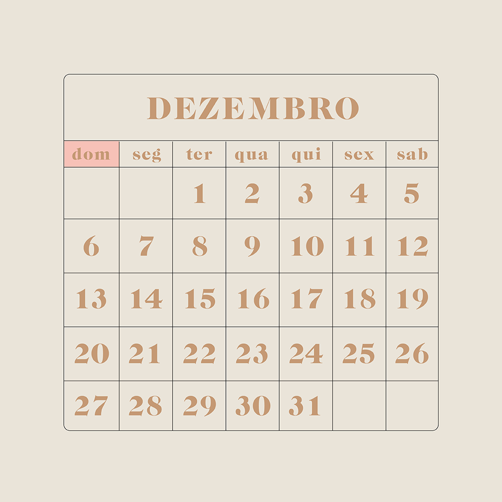 Planos para o Próximo Ano: Saiba Como Organizar suas Metas em 2022