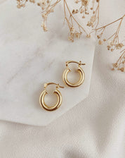 Argola Classy - Dourado