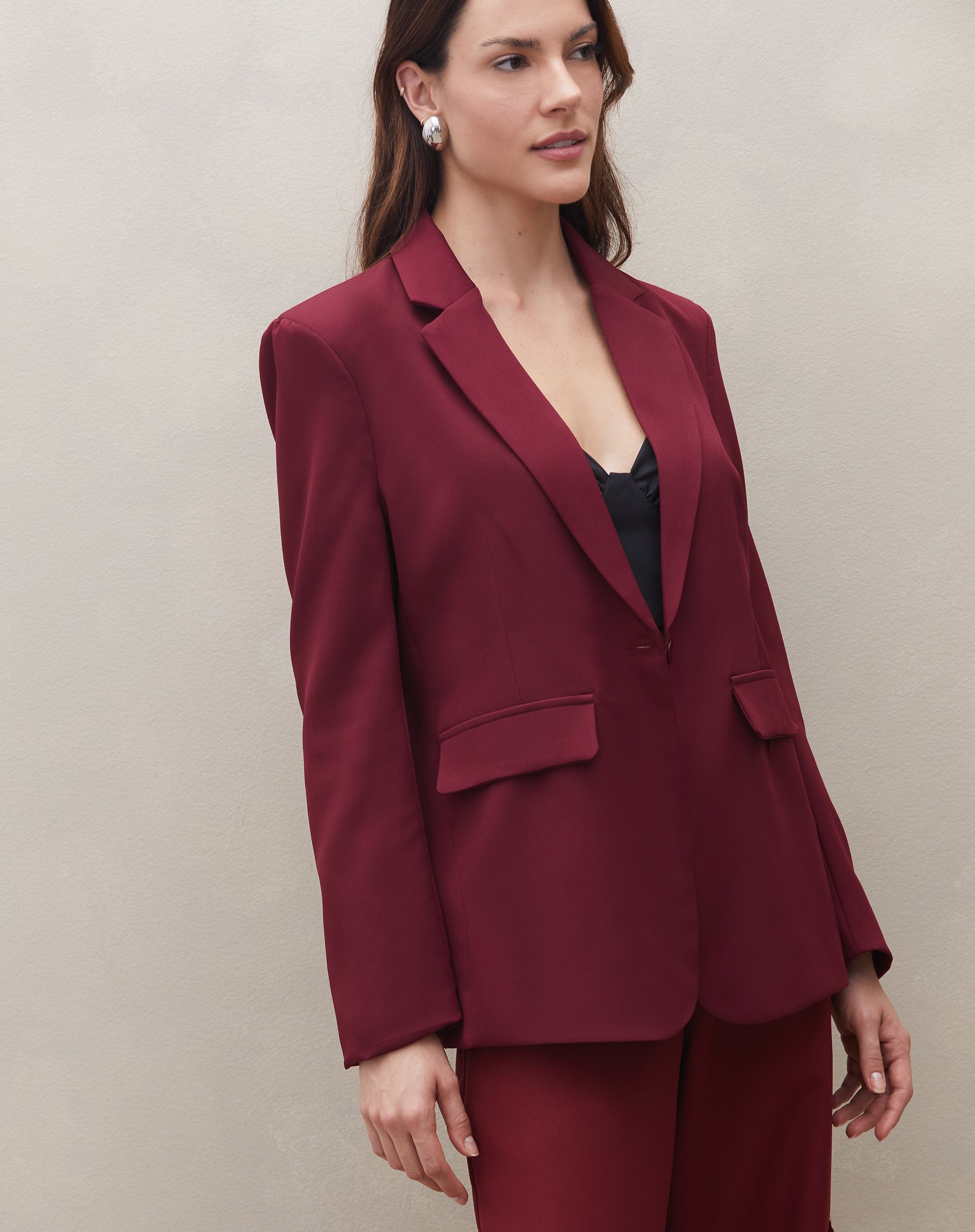 Blazer com Abotoamento Simples - Vinho