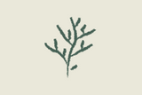 icons-03.png